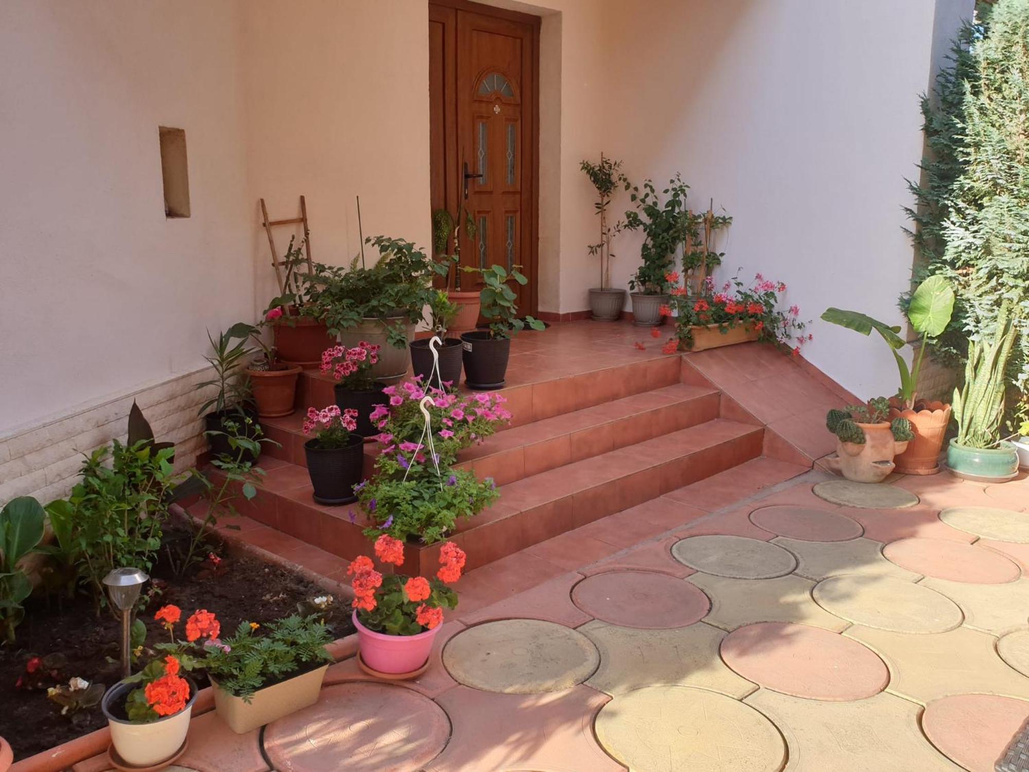 فندق Casa Mary كوستِنيست المظهر الخارجي الصورة