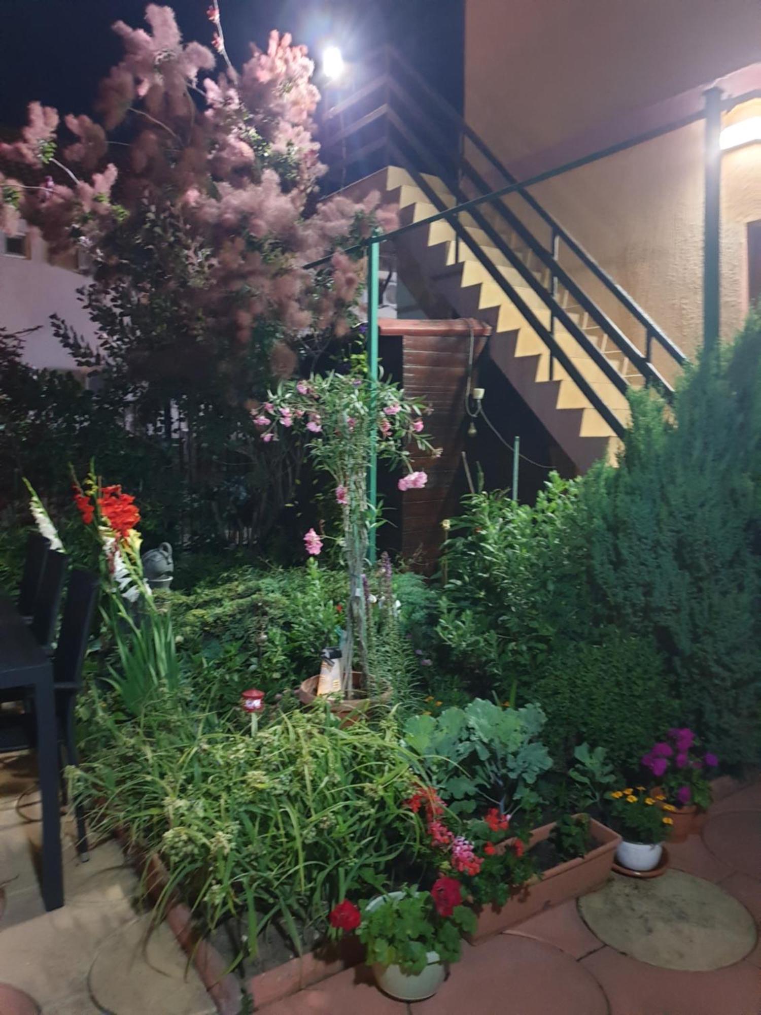 فندق Casa Mary كوستِنيست المظهر الخارجي الصورة